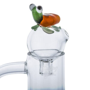 Frog Themed Carb Cap