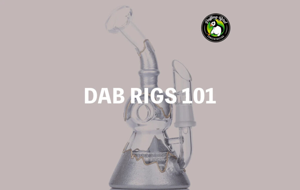 Dab Rig 101