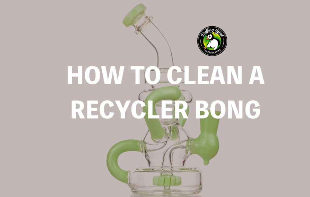 HOW TO CLEAN A RECYCLER BONG | PUFFING BIRD