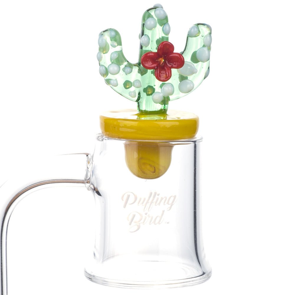Cactus_Themed_Carb_Cap_for_sale_-_420_gifts_-_Puffing_Bird_-_Online_Headshop-670453.jpg Cactus Themed Carb Cap