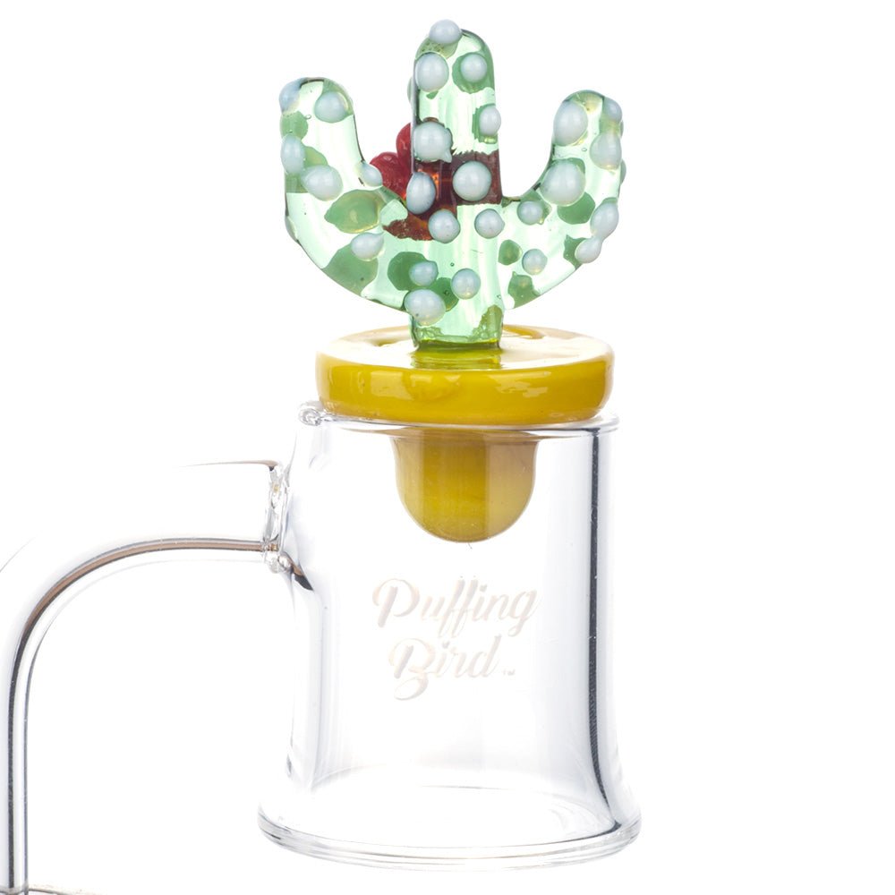 Cactus_Themed_Carb_Cap_for_sale_-_420_gifts_-_Puffing_Bird_-_Online_Headshop_2-960579.jpg Cactus Themed Carb Cap